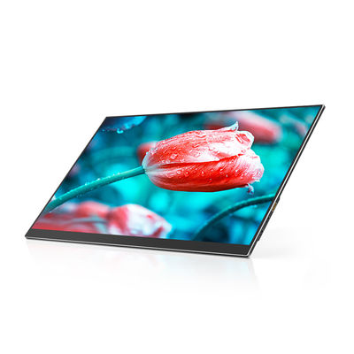 60Hz 17.3 ইঞ্চি পোর্টেবল LED মনিটর FHD 1080P কম্পিউটার ডিসপ্লে HDR